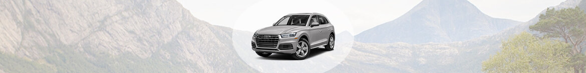 Q5 Q5