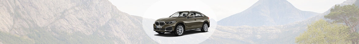 X6 X6