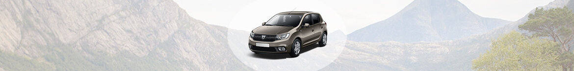 Sandero Sandero