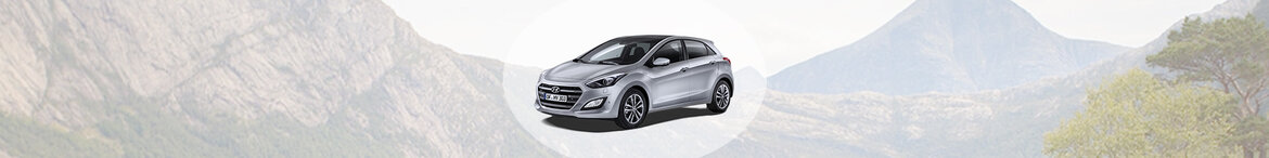 i30 i30