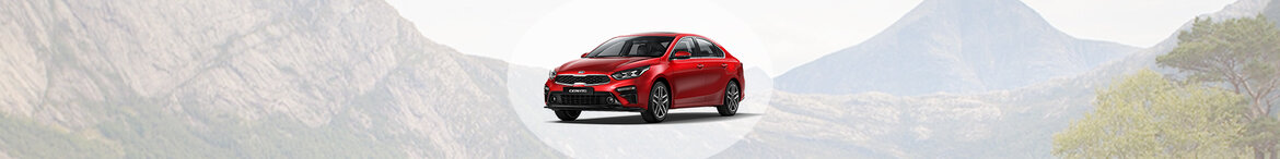 Cerato Cerato
