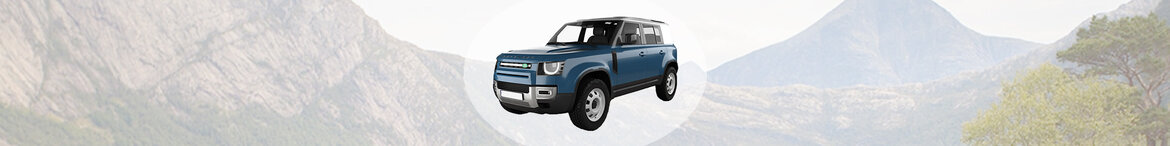 Defender Defender