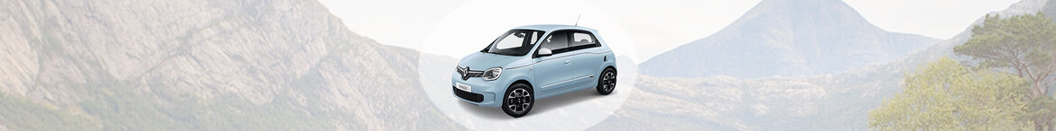 Twingo Twingo
