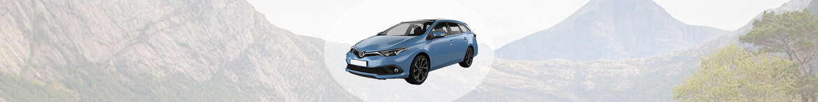 Auris Auris
