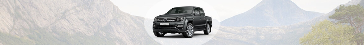 Amarok Amarok