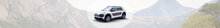 C4 Cactus C4-Cactus