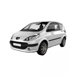 Peugeot 1007